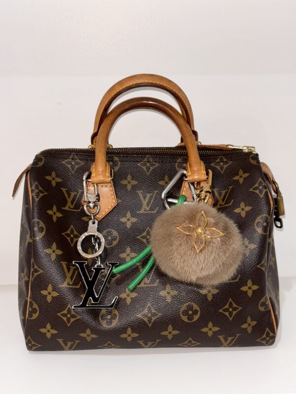 Louis Vuitton Vintage Monogram Speedy 25